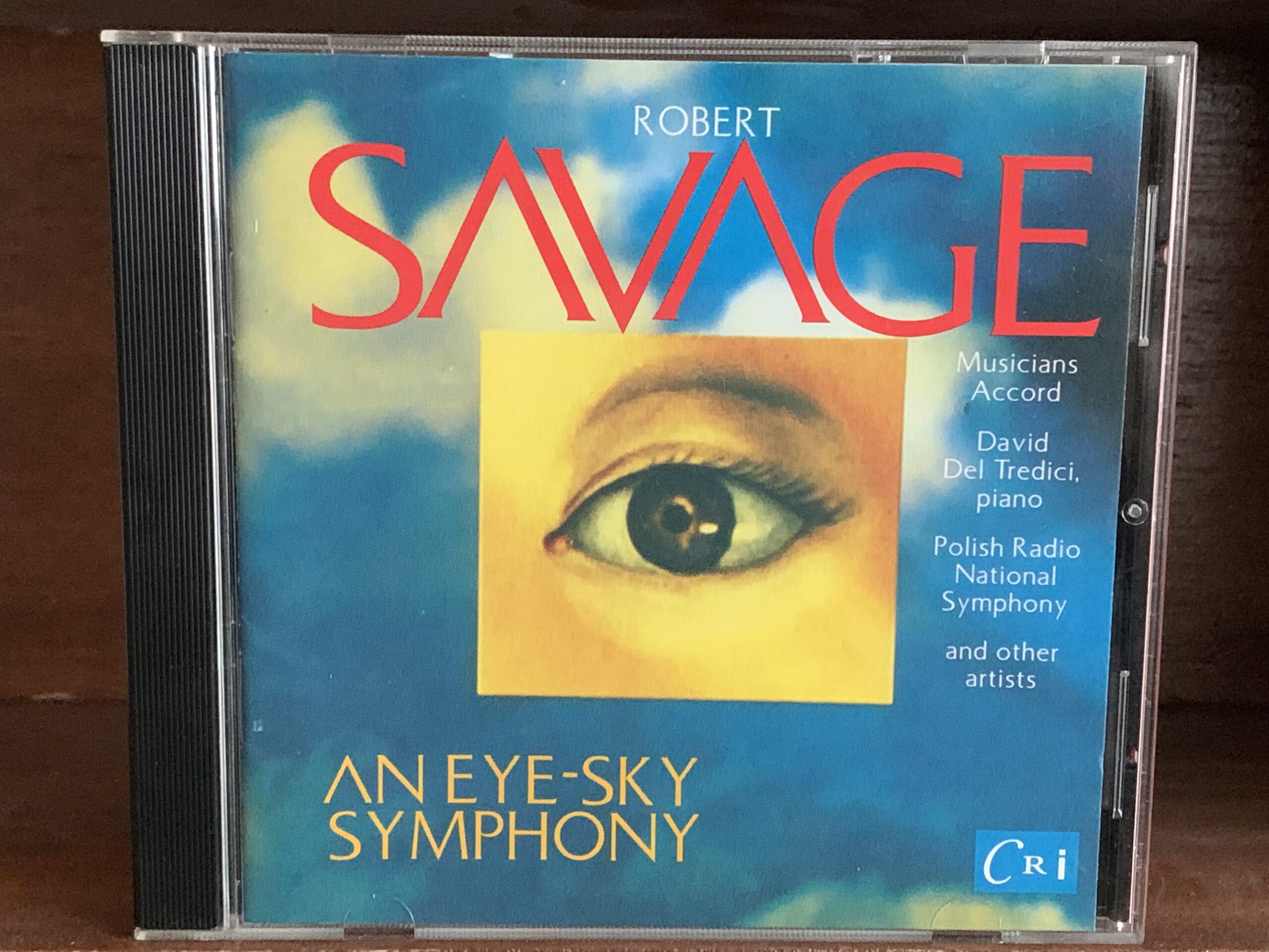 An Eye-Sky Symphony